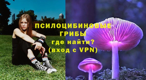 таблы Богородск