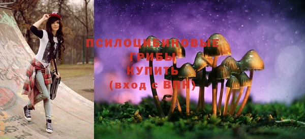 таблы Богородск