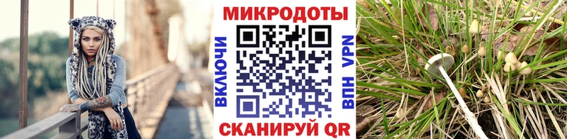 блэк спрут ссылки  Наро-Фоминск  Псилоцибиновые грибы MAGIC MUSHROOMS 